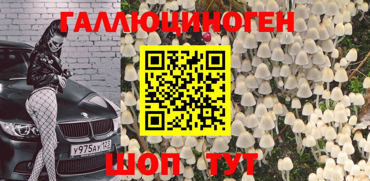Псилоцибиновые грибы Cubensis  Вход с VPN  как найти   Кубинка 
