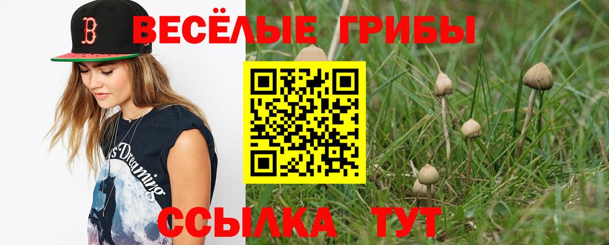 Марихуана  МЕФ   ГАШИШ  Cocaine  Купить наркотик  A-PVP СК кристаллы  Вход с VPN  Кубинка  ГАШ 