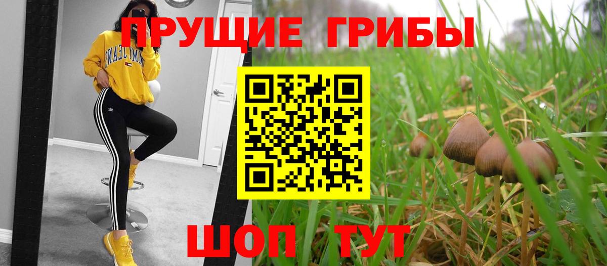 Псилоцибиновые грибы Psilocybine cubensis Кубинка